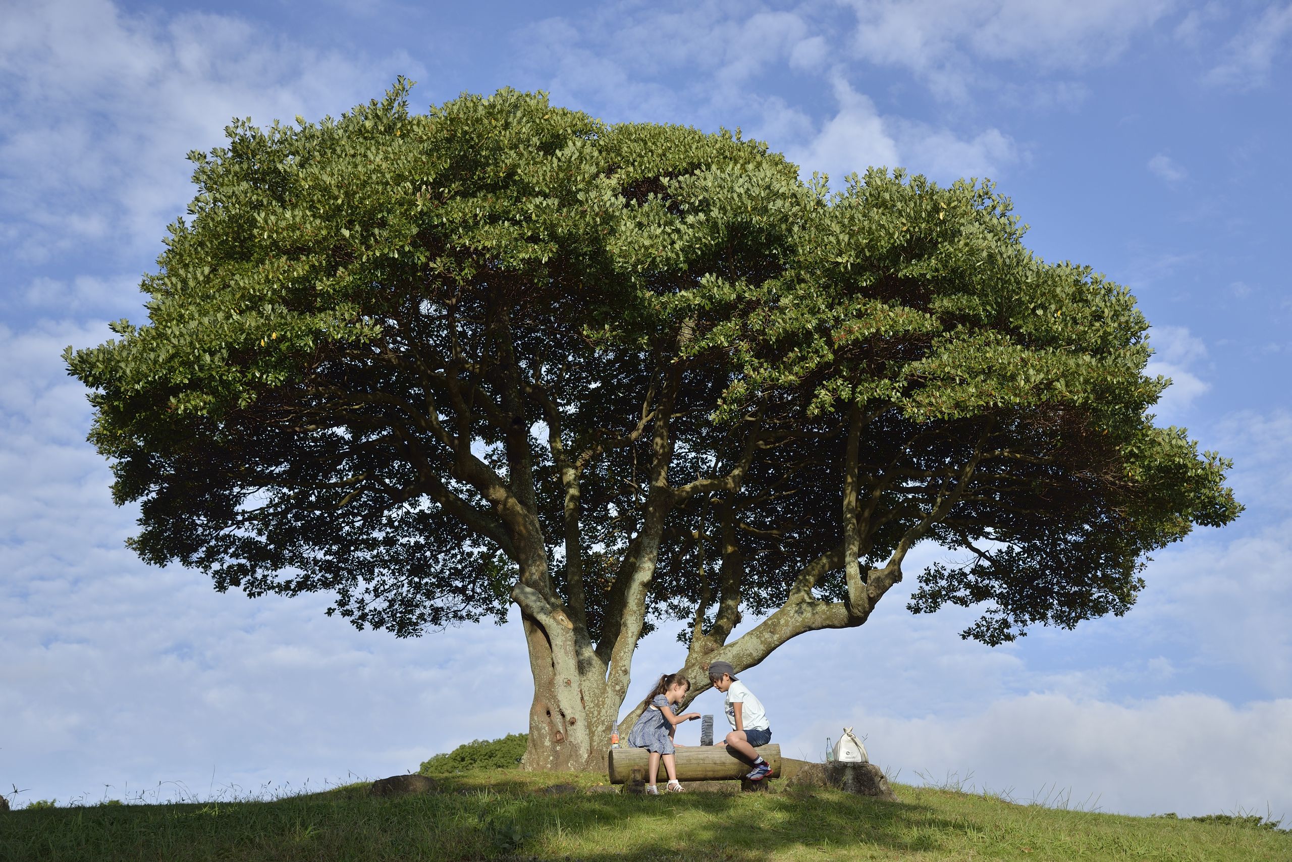 父と話すシュン