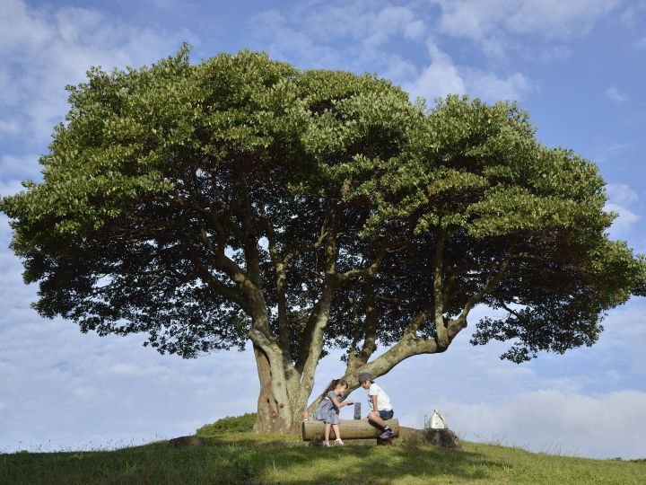 父と話すシュン
