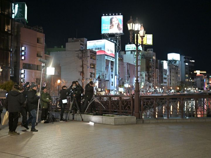 クジャクのダンス、誰が見た