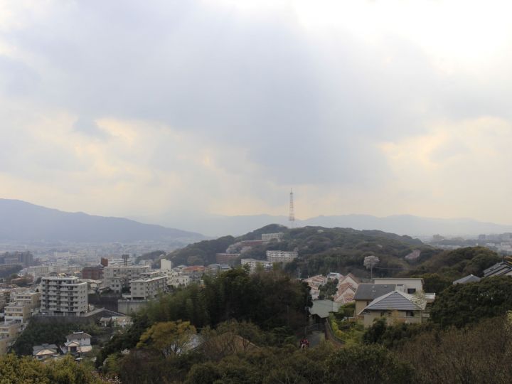 平和南緑地展望台