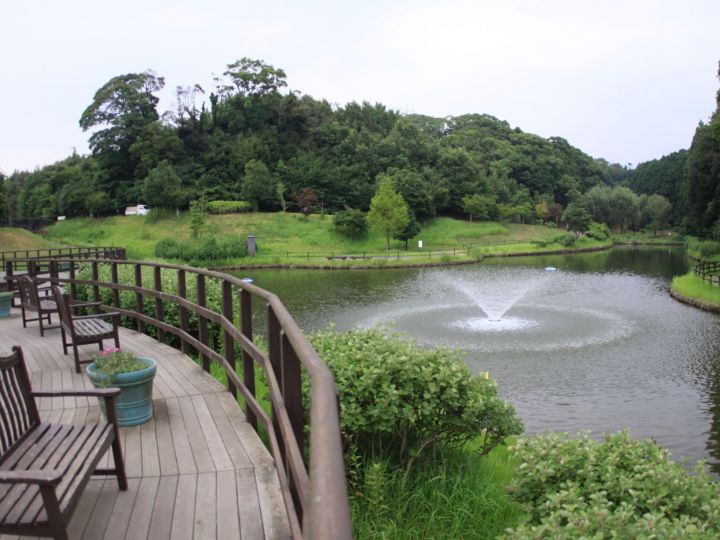 グリーンパーク