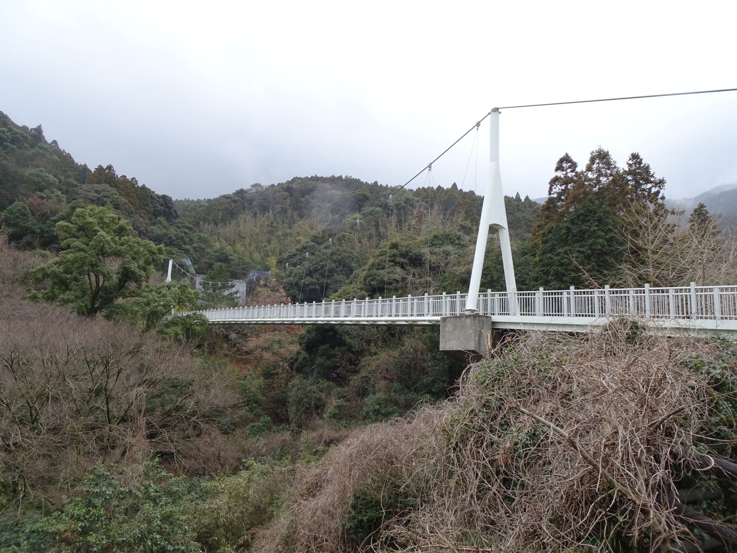 加茂ゆらりんこ橋