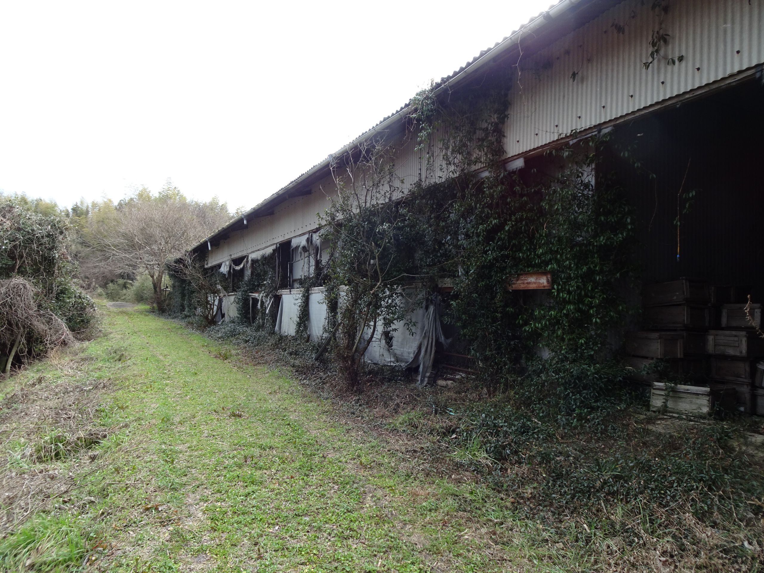 養豚場跡地①