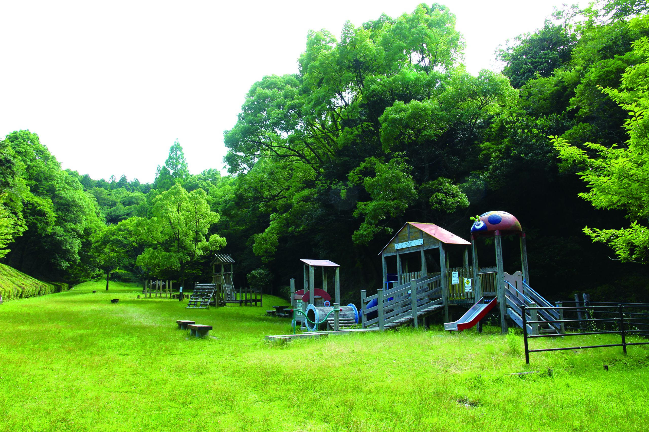 四王寺県民の森