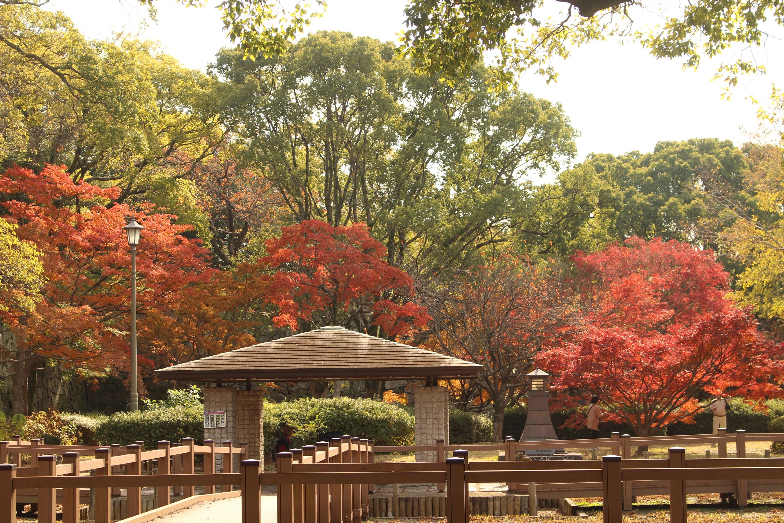 舞鶴公園