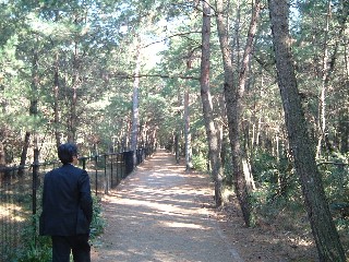 生の松原森林公園