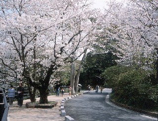 西公園