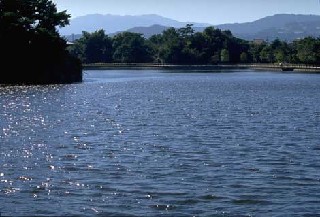 白水大池公園