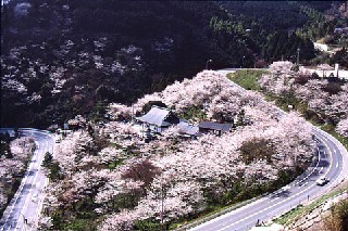 新吉野公園