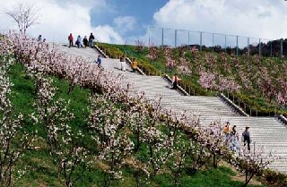 あんずの里運動公園